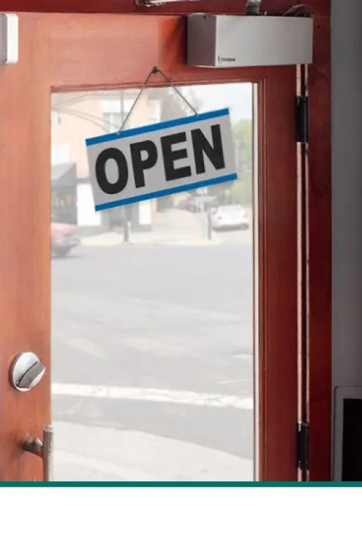 Open Sesame Model 233