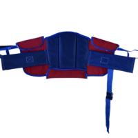 BestCare Deluxe Stand Assist Sling thumbnail BestCare Deluxe Stand Assist Sling thumbnail