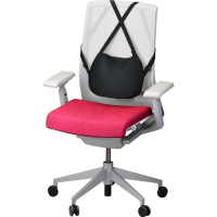 Nova Happy Back Gel Cell Lumbar Cushion thumbnail