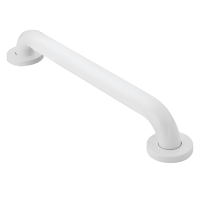 Moen Series 8700 grab bar thumbnail